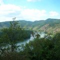 DSCN3367